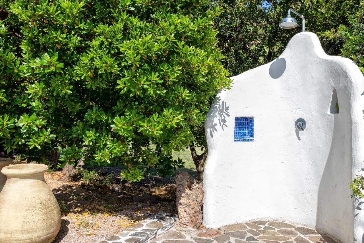 Apartament Sardinia Re - Casa Luisa With Pool Alghero Zewnętrze zdjęcie